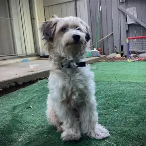 creator Talkior-02WpgeJX's avatar