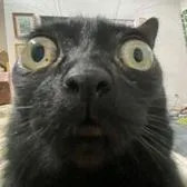 creator no_need_sleep's avatar