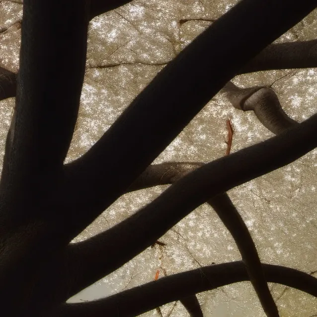 chat with ai character: english family 