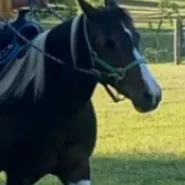 creator chl0e'sbestie's avatar