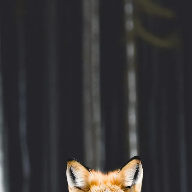 chat with ai character: Jack