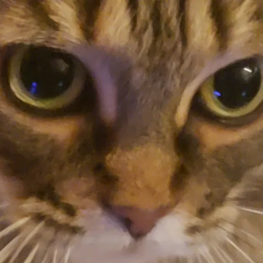 creator ....._......__'s avatar