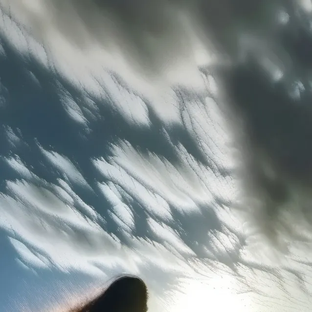 chat with ai character: sal