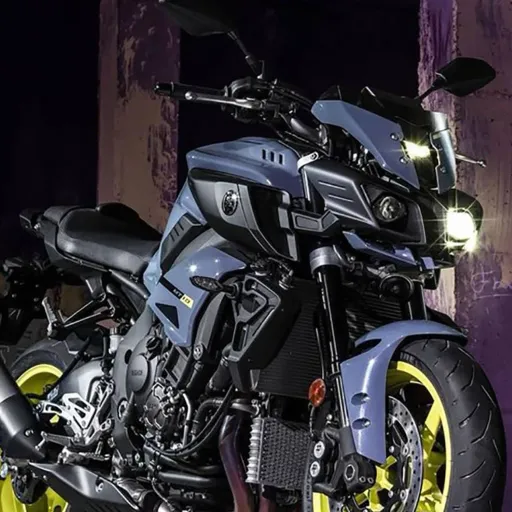 creator 💖Be yourself!🥰's avatar