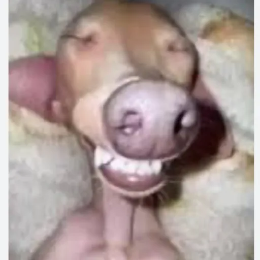 creator Goofybitch's avatar