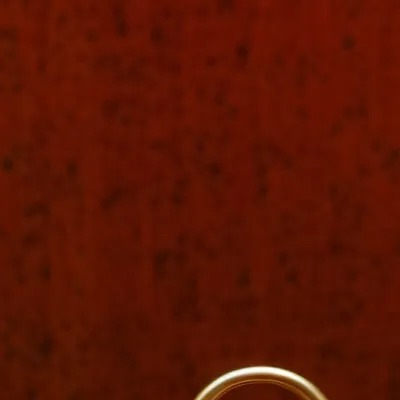 chat with ai character: Evolved Casoh 