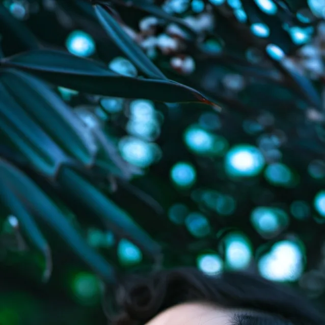 chat with ai character: Kathrine Parr