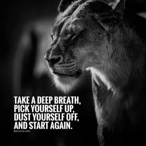 creator Tyler san's avatar