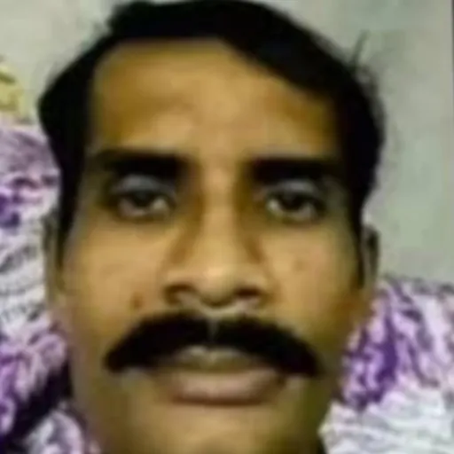 creator Amir 🤑🤑🤑's avatar