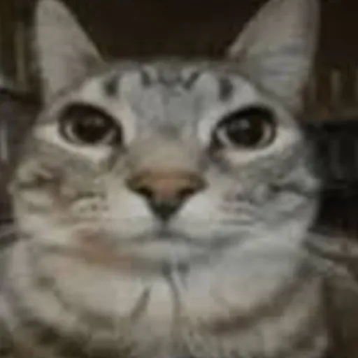 creator @VaxfiveFN's avatar