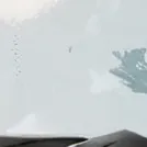 chat with ai character: Lily