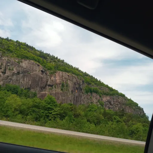 creator lonely hoe420's avatar