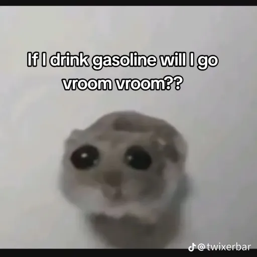 creator accoustic faka's avatar