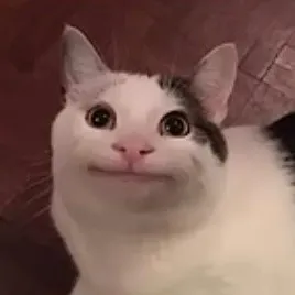 creator 😻~kats are kool~😻's avatar