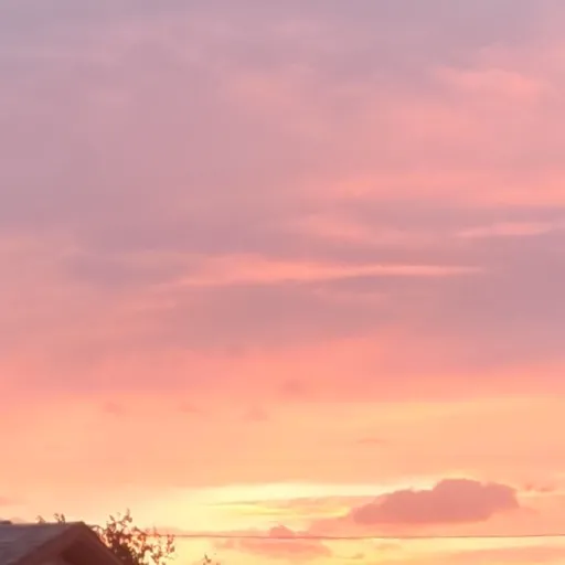 creator The_one_only?'s avatar