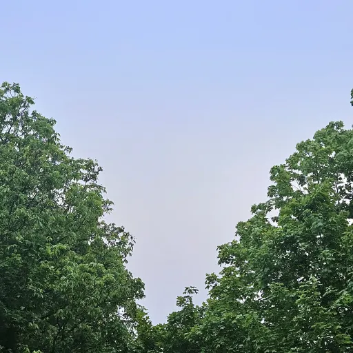 creator ⚽️♡soccer_girl♡⚽️'s avatar