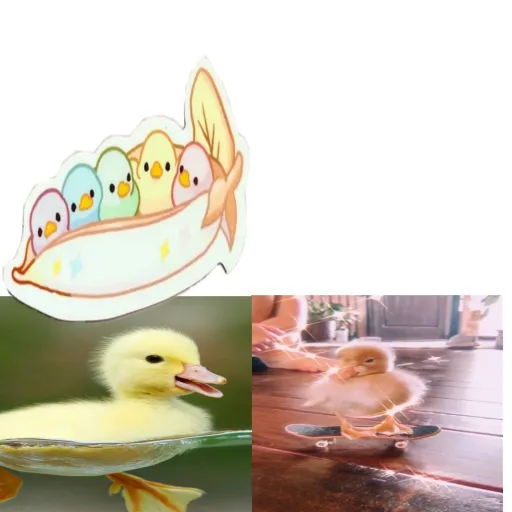 creator RoseEmma's avatar