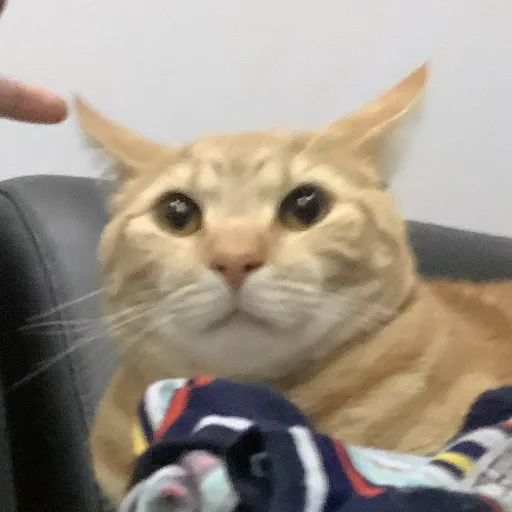 creator A_Moron1298's avatar