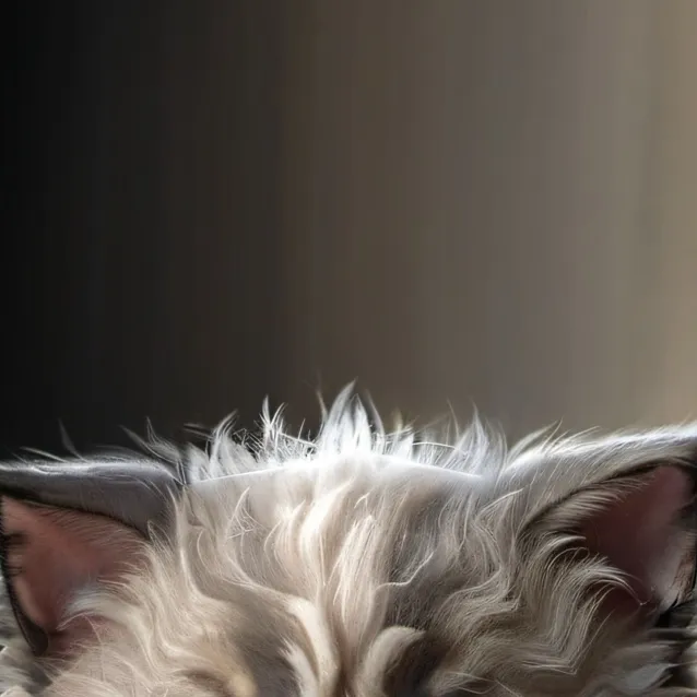 chat with ai character: baby emoji cat 