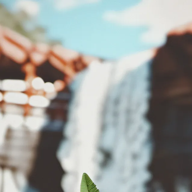 chat with ai character: TOUCH GRASSS