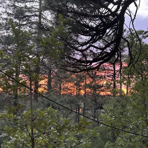 creator RhiannaX's avatar