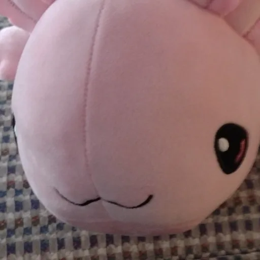 creator Phoenix Fire Bird's avatar