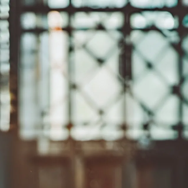 chat with ai character: The puppies