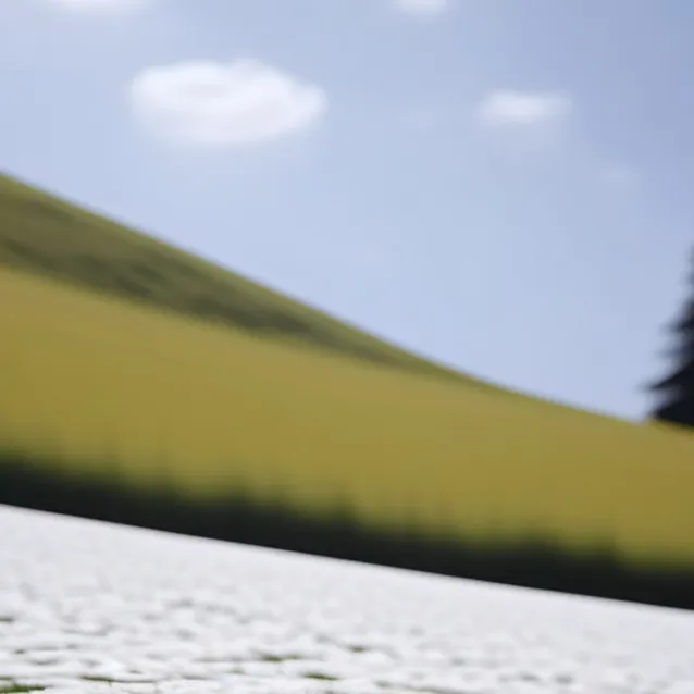 chat with ai character: PVZ CAMPING