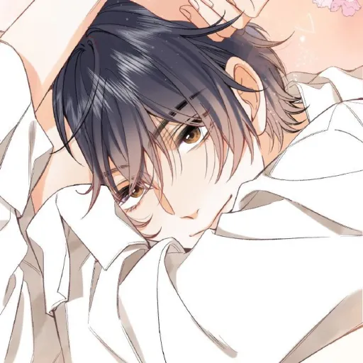 creator noah_here's avatar