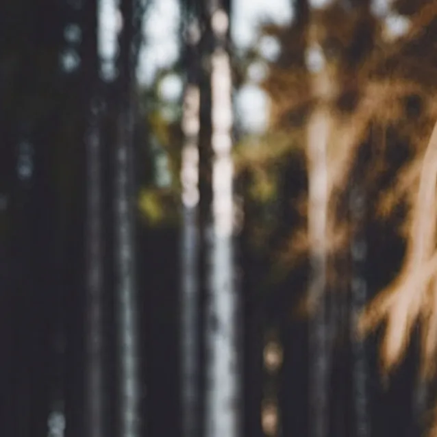 chat with ai character: grass