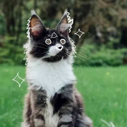 creator ☆animal-cracker☆'s avatar