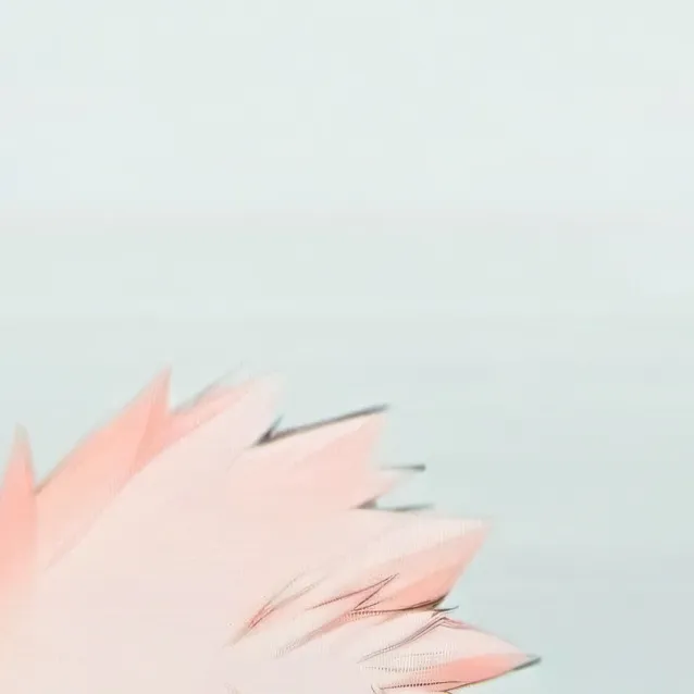 chat with ai character: Bakugo Katsuki 