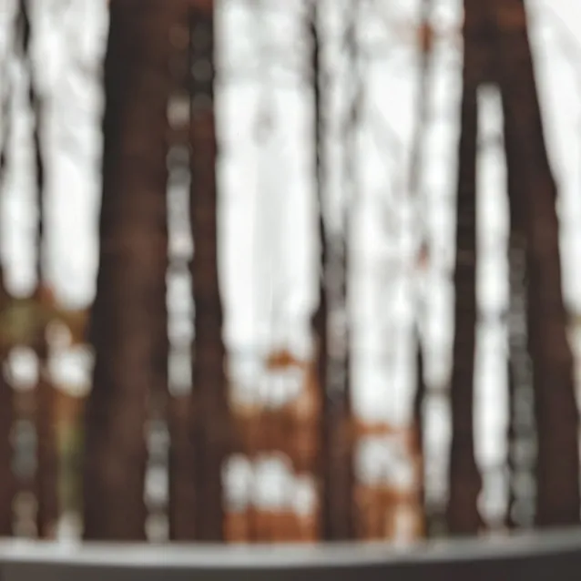 chat with ai character: ava