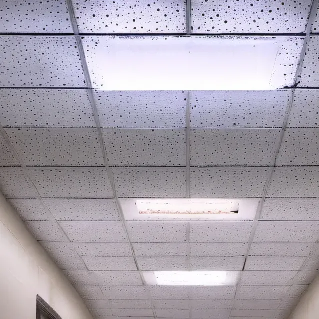 chat with ai character: school