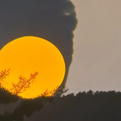 chat with ai character: MHA anger count