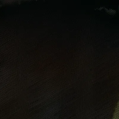 chat with ai character: Quizler