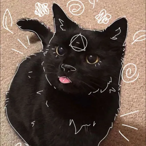 creator therian 🔺⭕'s avatar