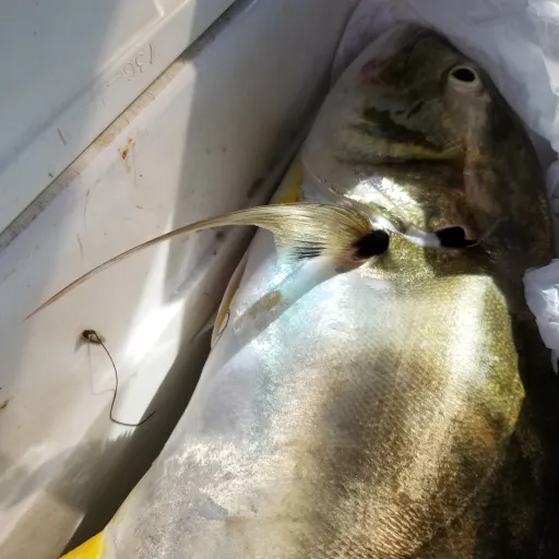 creator Angelo The GoodMen's avatar