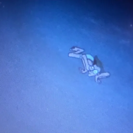 creator ⛈️🌊Kari_Storm🌊⛈️'s avatar