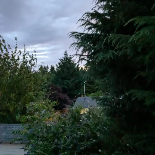 creator lamo7771's avatar