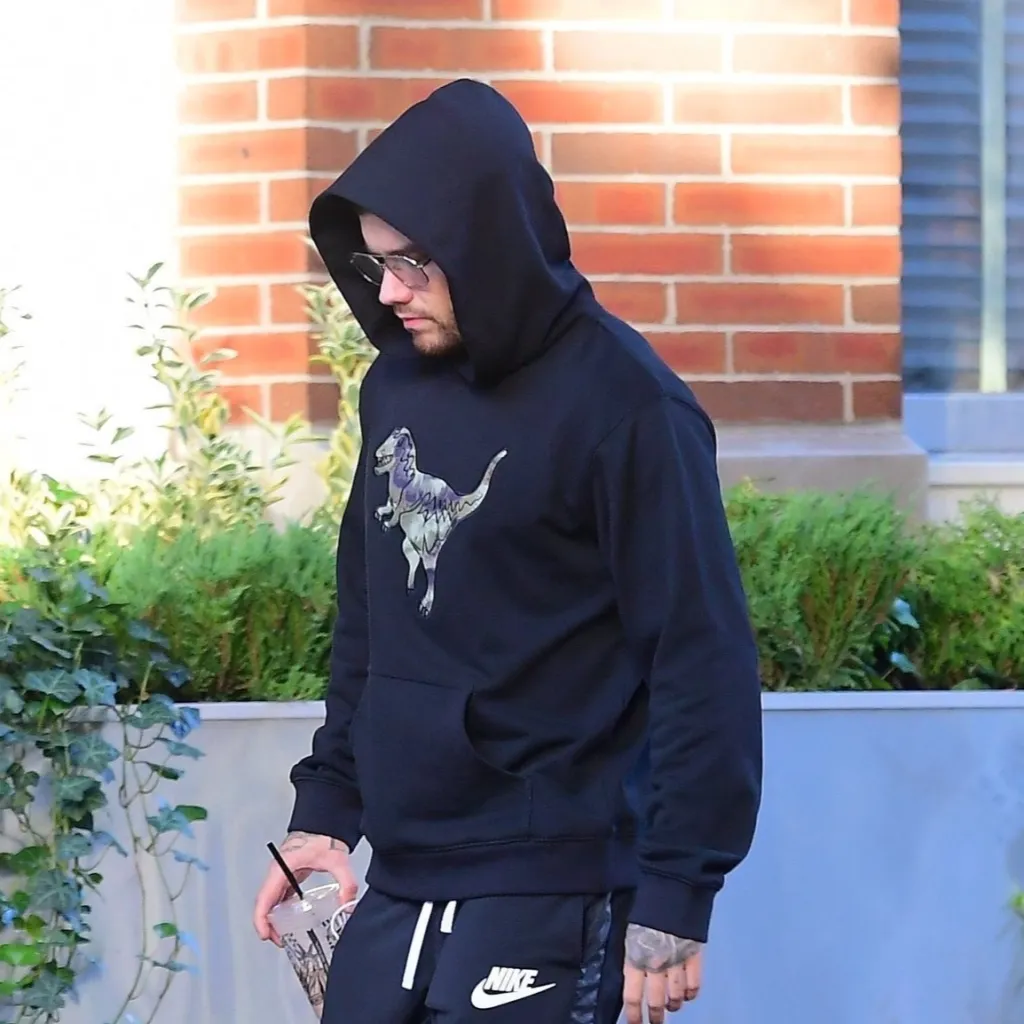 chat with ai character: liam payne! 