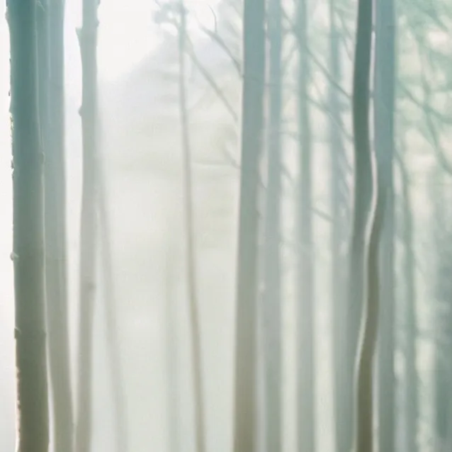 chat with ai character: bro you get a life