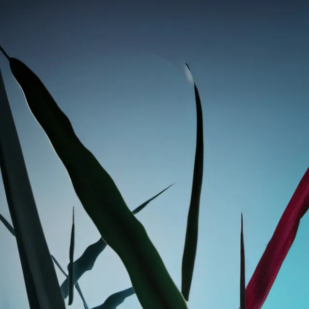 chat with ai character: touch grass