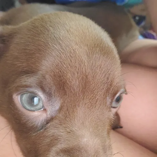 creator 4929's avatar