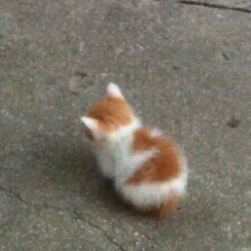 creator B!tch_ Ashl3y's avatar