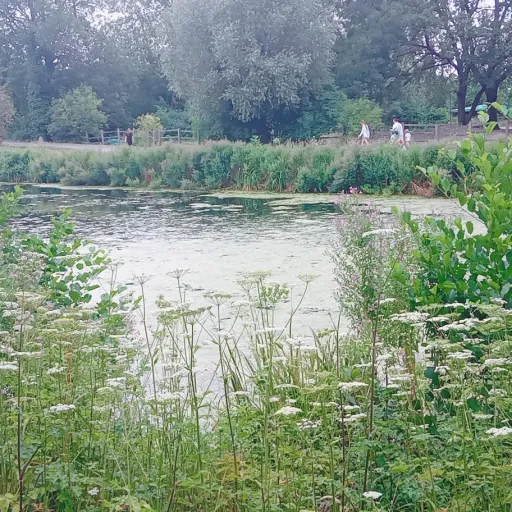 creator incognito fille's avatar