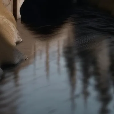 chat with ai character: 🤭✨HoGwArTs✨🤭