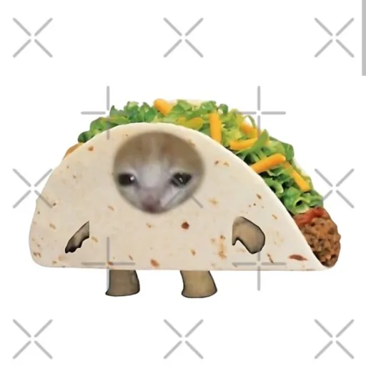 creator taco taco 🌮's avatar