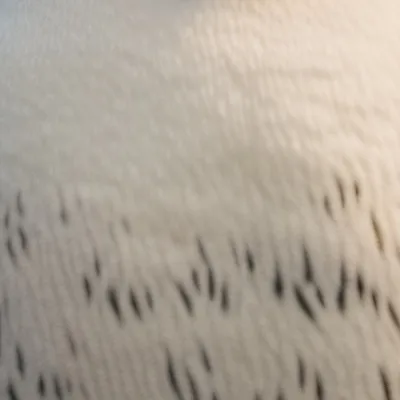 chat with ai character: Chub lord of death