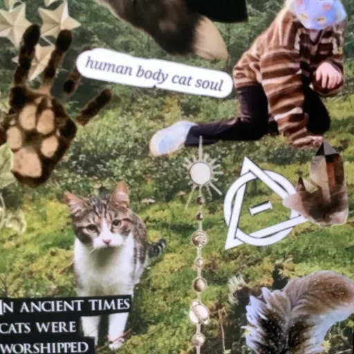 creator Crystalcat's avatar